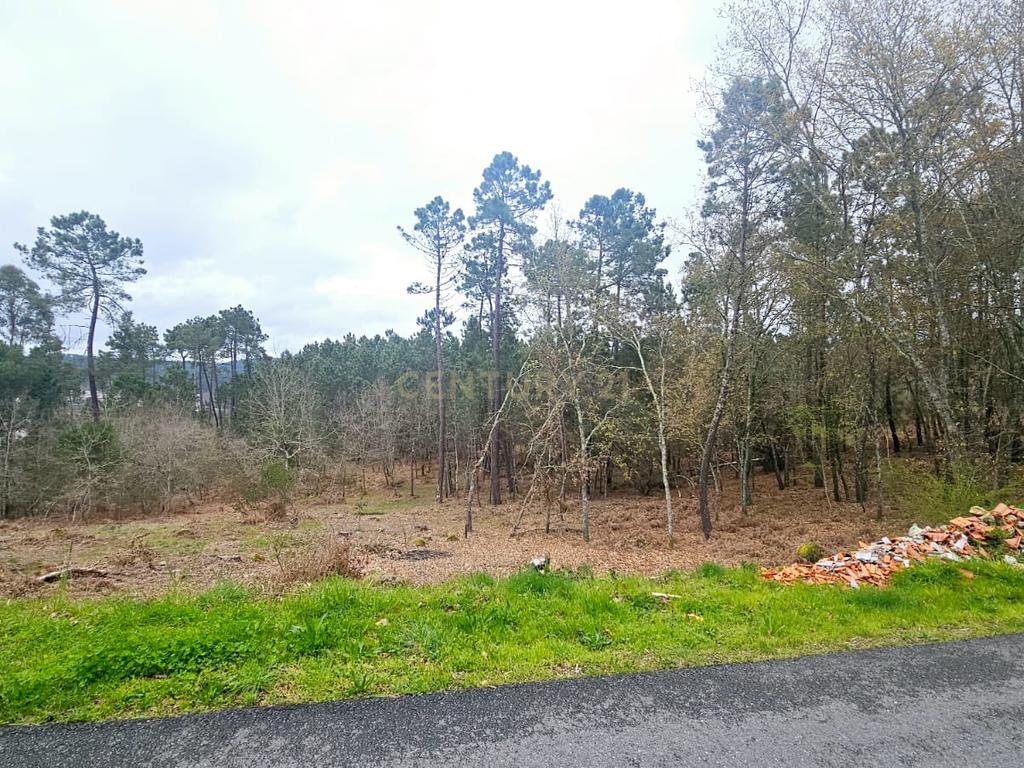 Terreno Construível em Viseu com Vista Panorâmica e Acesso Fácil - Image 4